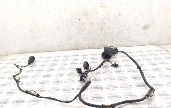 Seat Exeo (3R) Rear door wiring loom 3R0971687