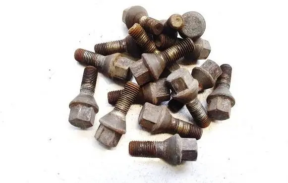 Renault Megane II Nuts/bolts 