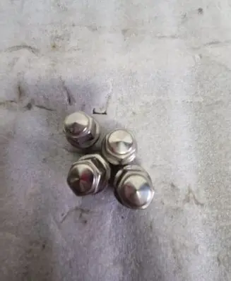 Ford Ecosport Nuts/bolts 