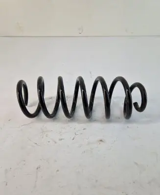 Rear coil spring