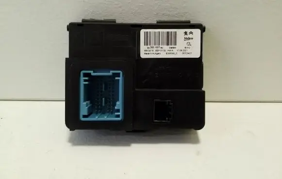 Opel Vivaro Other control units/modules 9836666580