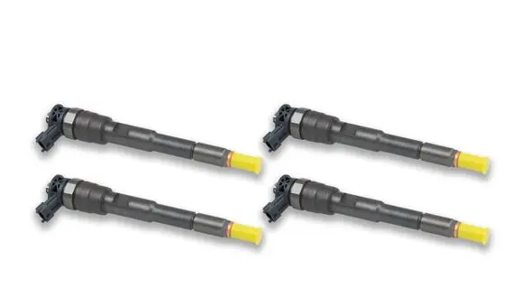 Dacia Sandero Fuel injector 0445110652 002003002237R 166000121R