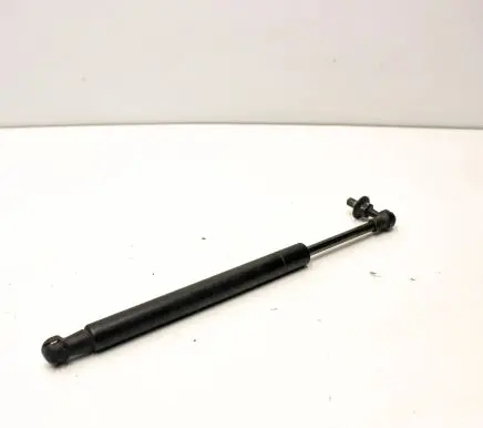 Tailgate/trunk strut/damper