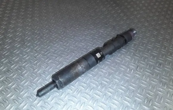 Renault Clio III Fuel injector 28232251 166001137r