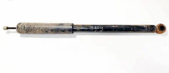Suzuki SX4 Rear shock absorber/damper 20343002