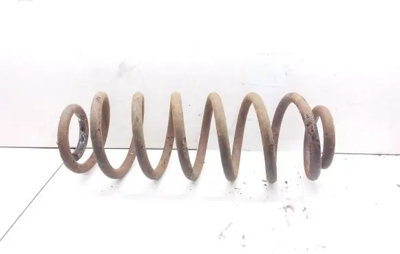 Volkswagen PASSAT B6 Rear coil spring