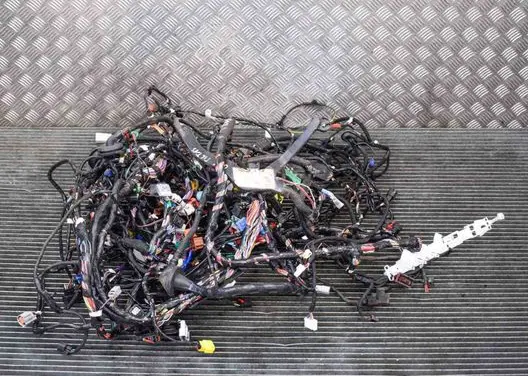 Tesla Model S Other wiring loom 200442300