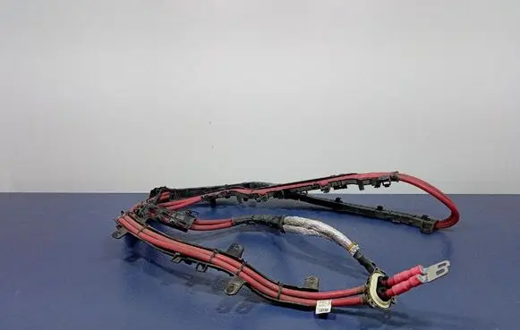Other wiring loom