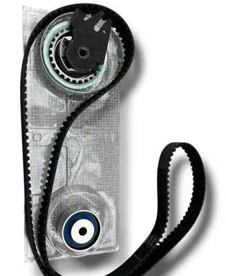 Ford Focus Timing belt 1611254480