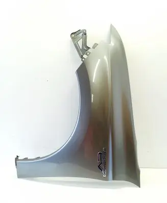 Fender