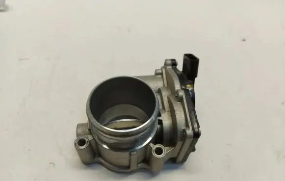 Throttle body valve