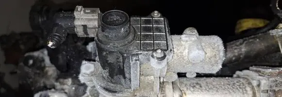 Renault Clio III EGR valve 