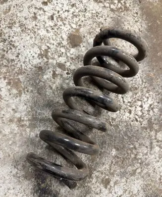 Rear coil spring