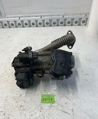 Renault Master III Throttle valve 8200987453 266311154