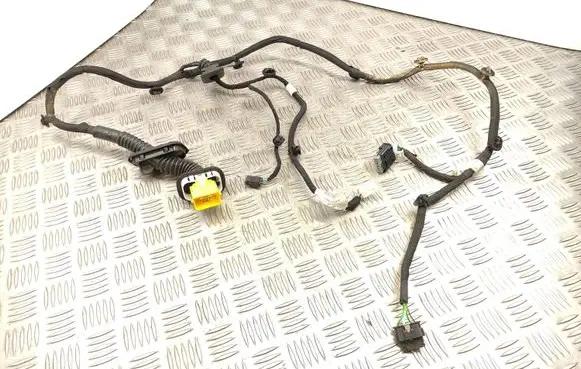 Citroen C4 III e-C4 Rear door wiring loom 9840756780 43243
