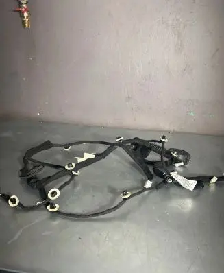 Front door wiring loom