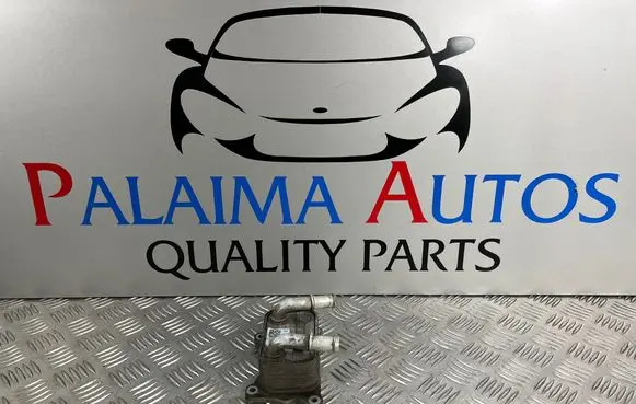Nissan Juke I F15 Engine oil radiator 268247
