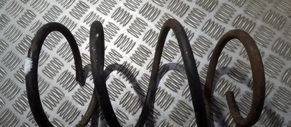 Rear coil spring