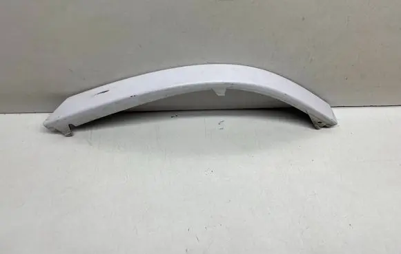 Rear/tail light trim molding
