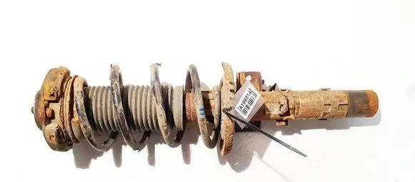 Volkswagen Polo IV 9N3 Front shock absorber/damper 6r0413031c