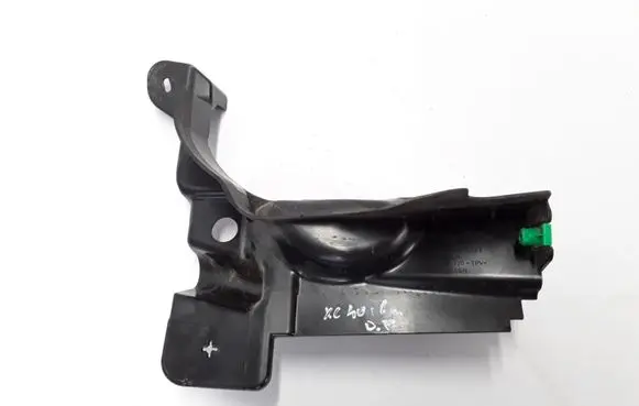 Engine bonnet/hood lock trim molding
