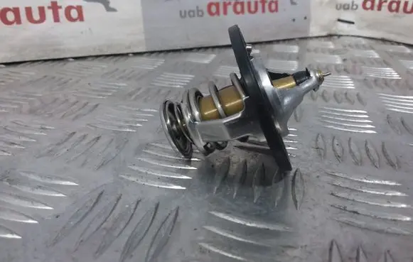 Hyundai ix35 Thermostat/thermostat housing