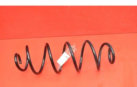 Rear coil spring