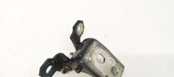Renault Megane III Rear door lower hinge