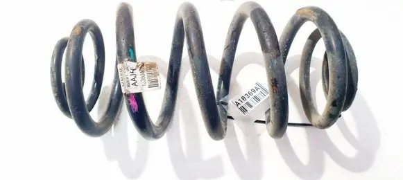 Rear coil spring