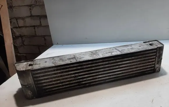 BMW 7 E65 E66 Intercooler radiator 7795386 F0973000