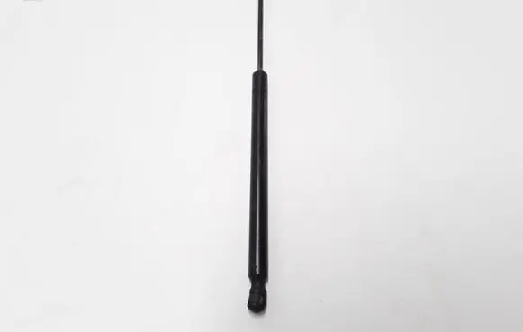 Renault Megane II Tailgate strut 8200119498