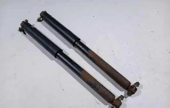 Ford F150 Rear shock absorber/damper FL34-18080-EC