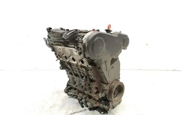 Seat Exeo (3R) Engine CAH