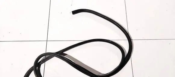 Nissan Murano Z50 Rubber seal front coupe door 