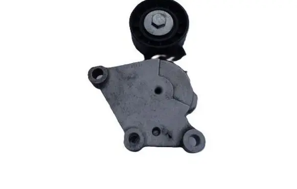Ford Focus Timing belt tensioner 846143