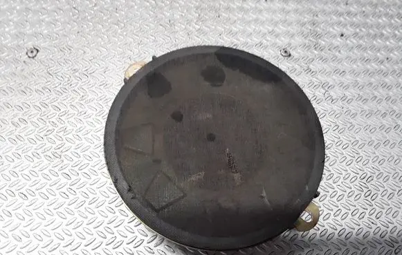 Panel speaker
