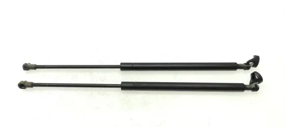 Renault Scenic I Rear window strut damper 