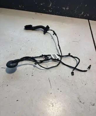 Volkswagen ID.3 Rear door wiring loom 4L0971841P