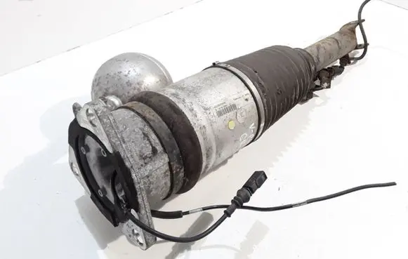 Volkswagen Phaeton Rear shock absorber/damper 3D0616001F 168ATE04157FC3T