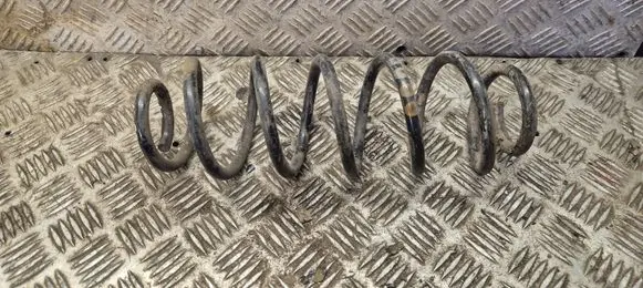 Seat Leon (1M) Rear coil spring 