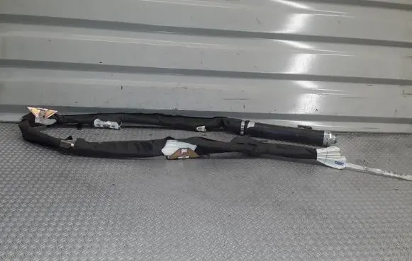 Renault Laguna II Roof airbag 8200281224 324421700434 YC513F104