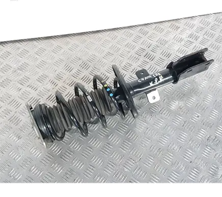 Citroen C5 Aircross Front shock absorber with coil spring 9833696780