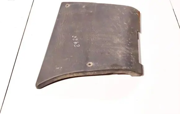 Rear door trim (molding)