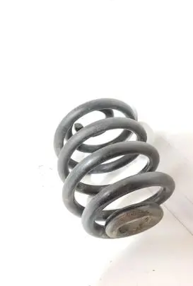 Volkswagen Multivan T4 Rear coil spring 74072 T418342