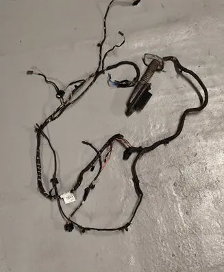 BMW 5 F10 F11 Front door wiring loom 9169241 61139169241