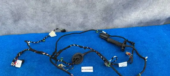 Volkswagen T-Roc Front door wiring loom 2GA971120