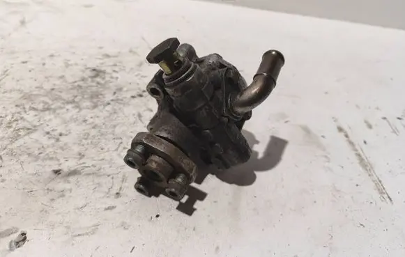 Volkswagen Golf IV Power steering pump 1J0422154A