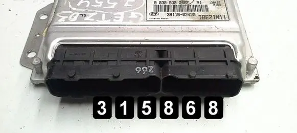 Hyundai Getz Engine control unit/module 3911002420