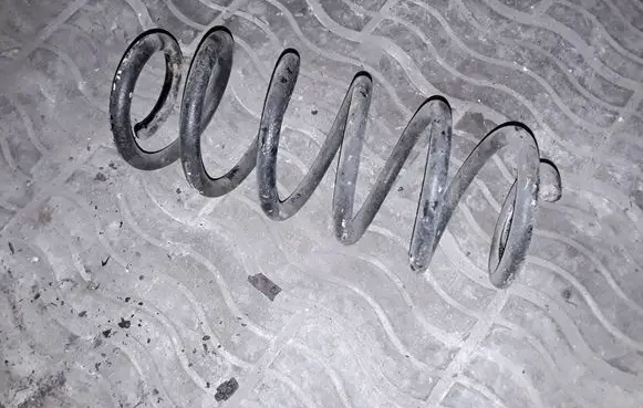 Toyota Urban Cruiser (XP110) Rear coil spring NOCODE