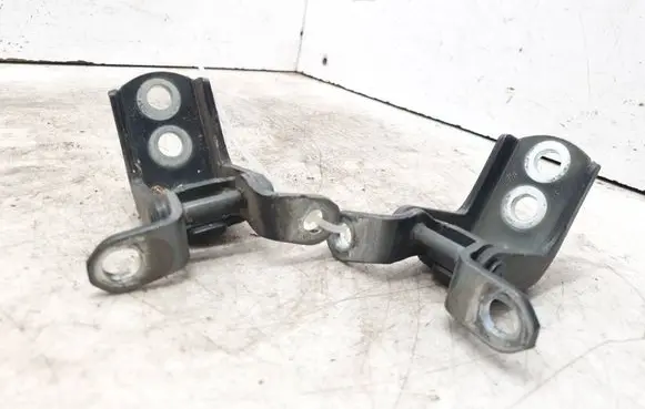 Renault Koleos I Front door hinge set TEGXA